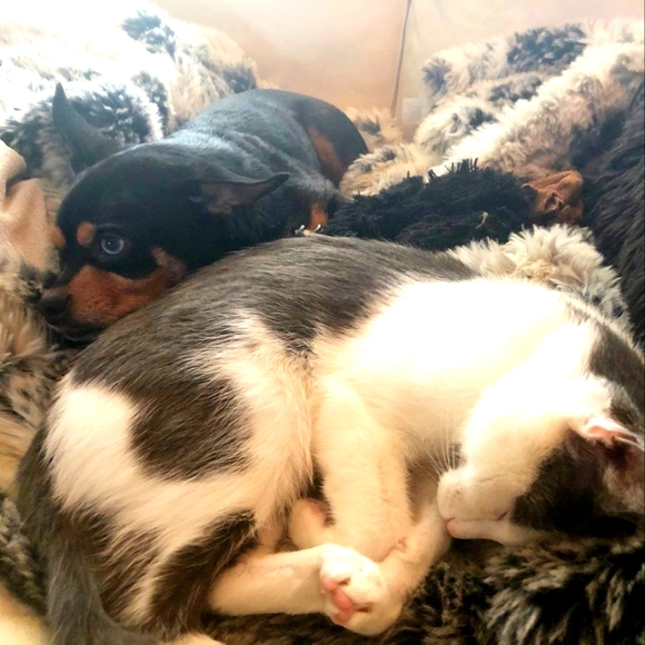 Let's Go 2025🥳 - Picture 6 of 7